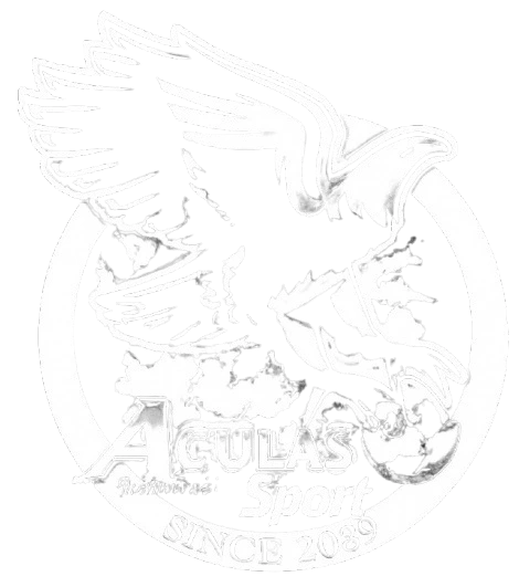 Sponsor 3